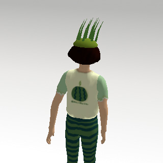 すいかTシャツうしろ