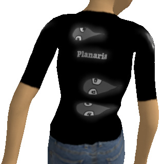 プラナリアうしろ